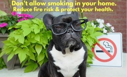 archie home Smoke Free Housing Ontario archie home Smoke Free Housing Ontario